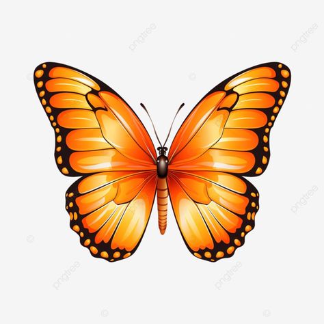 orange butterfly clipart butterfly orange nature png Orange Clipart, Png Nature, Orange Nature, Nature Clipart, Clipart Butterfly, Fiesta Kitchen, Butterfly Image, Butterfly Png, Butterfly Clipart