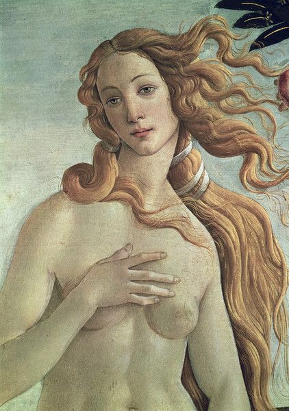 Venus, detail from The Birth of Venus by Sandro Botticelli from Uffizi Gallery Botticelli Art, Birth Of Venus, Sandro Botticelli, William Turner, Giclee Painting, Tempera, Artist Canvas, Art Reproductions, Painting & Drawing