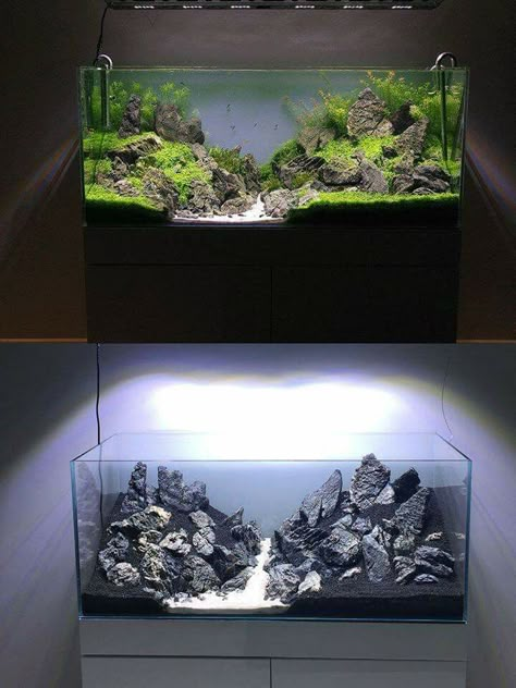 By Andrzej Turczynowicz‎ Tall Tank Aquascape, Aquarium Landscape Ideas, 5 Gallon Aquascape, Natural Aquarium Ideas, Aquascape Diy, Aqua Scape, Fish Aquarium Decorations, Tank Terrarium, Fish Tank Themes