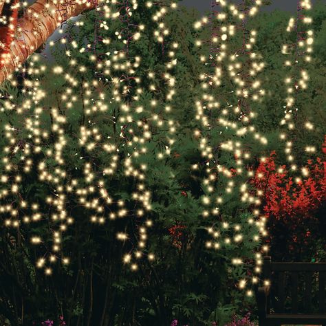 Outdoor String Lights for Every Budget | At Home Lights In Trees, Yard String Lights, Lanai Lighting, Pond Dock, Fun Engagement Party, 21st Decorations, Outdoor Tree Lighting, Fairy Lights In Trees, Summer Night Party