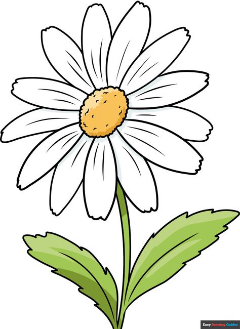 Learn to draw a Daisy Flower. This step-by-step tutorial makes it easy. Kids and beginners alike can now draw a great Daisy Flower. Daisy Flower Drawing, Daisy Drawing, Cricut Flowers, Sunflower Accessories, Diy Drawings, How To Draw Flowers, Beginner Sketches, Easy Flower Drawings, Pencil Drawings Of Flowers