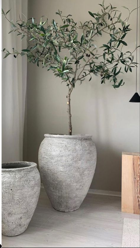 Indoor Olive Tree, Indoor Tree, Earthy Home, Faux Olive Tree, Foyer Decor, Thrift Flip, Plant Vase, Organic Modern Decor, Decor Home Living Room