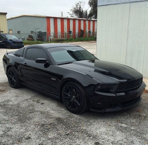 2011 Mustang GT. blacked out beauty. All Black Mustang Gt, 05-09 Mustang Gt, Mustang Cars Black, All Black Mustang, Blacked Out Mustang, Black Mustang Car, Ford Mustang Gt Black, Mustang Gt Black, Black Ford Mustang