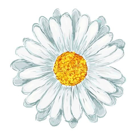 Daisy Flower Drawing, Daisy Drawing, Daisy Tattoo, Daisy Art, Clipart Flowers, Daisy Painting, Purple Daisy, White Daisy, Flower Clipart