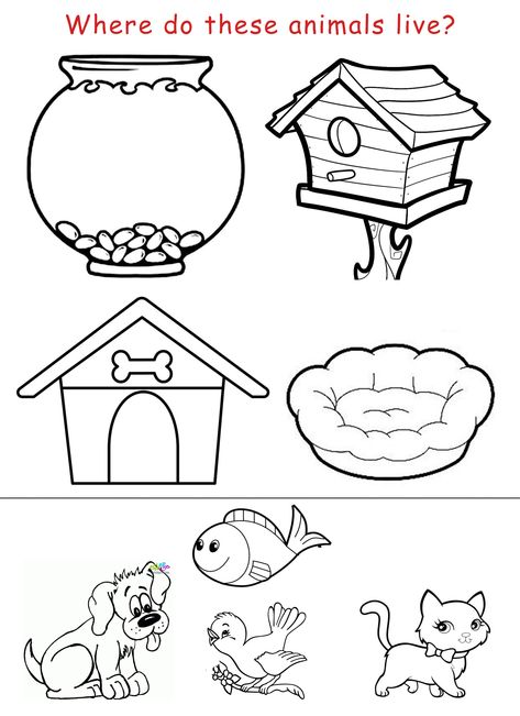 Copy a sheet for each student and tell them to color and cut the animalsand stick them on their proper housesesl worksheet kindergarten Animals House Worksheet, Animals And Habitats Preschool, Home Pet Ideas, Pets And Their Homes Matching Activity, Animals Home Worksheet, Worksheet On Animals For Kindergarten, Needs Of Animals Worksheet, My House Kindergarten Activities, Pets Projects For Preschool