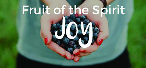 Fruit of the Spirit JOY Fruit Of The Spirit Joy Lesson, Fruit Of The Spirit Joy Craft, Fruit Of The Spirit Joy, What Is Joy, Love Joy Peace Patience Kindness, Womens Bible, Easter Sunday School, Preschool Room, Galatians 5 22 23