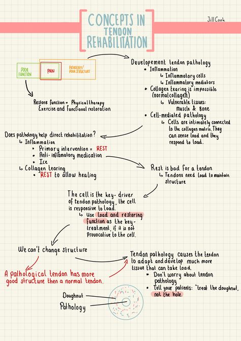 Physiotherapy Aesthetic Notes, Physical Therapy Student Notes, Physical Therapy Notes, Physical Therapy Student Study, Physiotherapy Notes, Physical Therapy Assistant Student, Pathology Notes, Athletic Training Student, Medical Essentials
