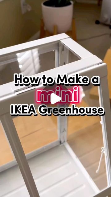 Homemade Mini Greenhouse, Mini Green House Ideas, Miniature Greenhouse Terrarium, Indoor Herb Garden Diy Mini Greenhouse, Small Space Greenhouse, Small Greenhouses Diy, Dollar Tree Greenhouse, Diy Table Top Greenhouse, Mini Green House Diy