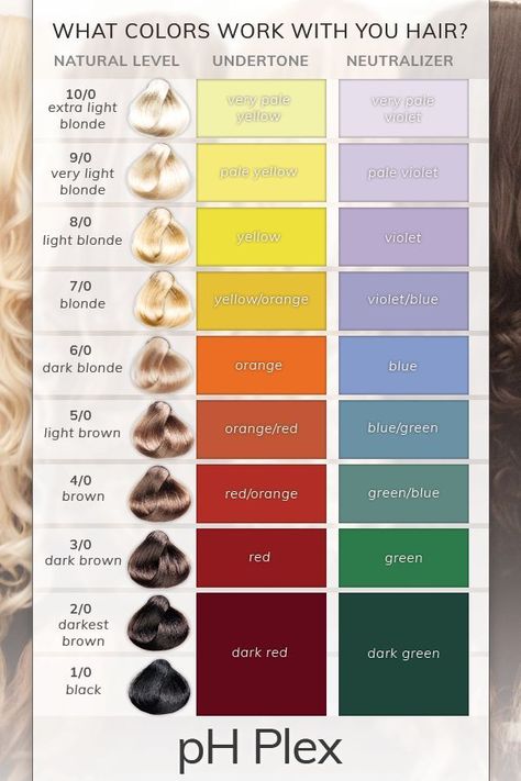 What Colors Work With Your HairGet Rid Of Unwanted Tones Using The Color Charts Levels Of Hair Color Chart, Color Theory Hair Colour Wheel, Hair Toning Chart, Hair Color Dye Chart, Hair Levels And Tones, Hair Chart Color, Hair Color Spectrum Chart, Hair Color Maintenance Schedule, Color Wheel Hair Toner