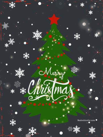 Merry Christmas Gifs Animated, Pics For Status, Merry Christmas Gif Animation, Christmas Wishes Gif, Merry Christmas Gif Images, Animation Pics, Gif Photos, Paw Crafts, Animated Christmas Pictures