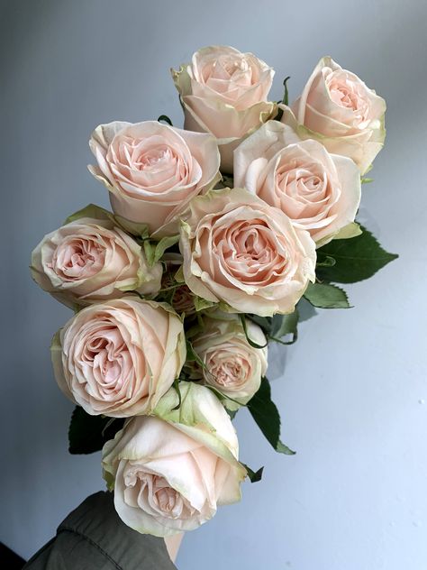 Garden Rose Wedding, Flower Palette, Creamy Blush, Blush Pink Roses, Flower Board, Flower Types, Flower Varieties, Rose Varieties, Parrot Tulips