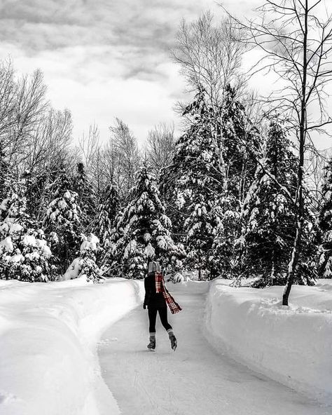 Ice Skating Trails in Canada and U.S. - Forest Skating Trails Rideau Canal Ottawa Ice Skating, Snow Skating, Ice Skating Aesthetic, Winter Skating, Outdoor Ice Skating, Outdoor Skating, Hockey Pictures, Skating Aesthetic, Photoshoot Outdoor