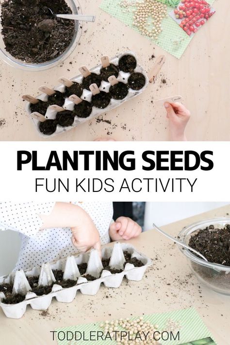 Spring is here and what’s a better idea than to plant a few seeds with this Planting Seeds Activity!  #recycledcrafts #springactivities Preschool Planting Seeds, Planting Kids Activities, Plants And Seeds Preschool, From Seed To Plant Activities Preschool, Seeds Preschool, Kids Seed Planting Activity, Toddler Spring Activities, Sustainability Activities, Toddler Garden