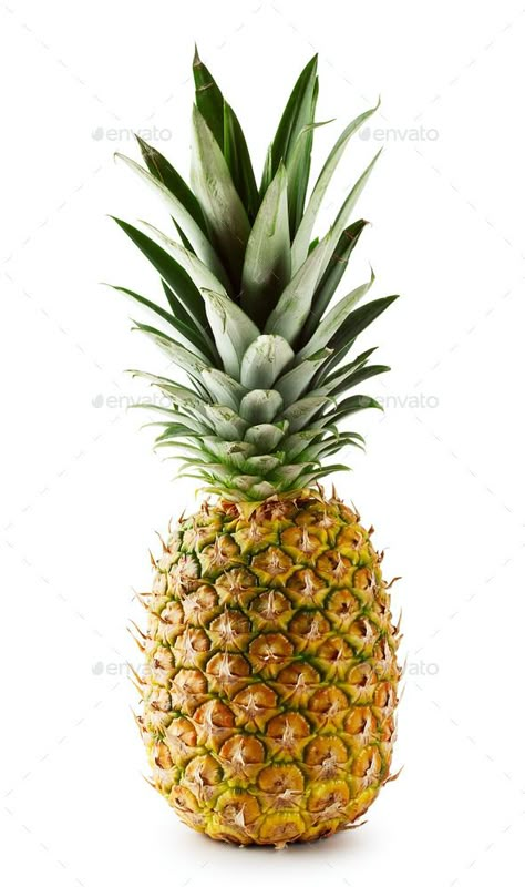 Fruit Reference, Pineapple Photography, Pineapple Painting, Fruits Photos, Funny Fruit, Fake Fruit, Brown Spots Removal, Pineapple Fruit, Fruit Photography