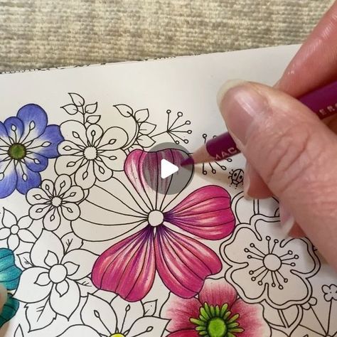 Pencil Flowers, Joanna Basford Coloring, Coloring Videos, World Of Flowers, Joanna Basford, Coloring Ideas, Basford Coloring, My Live, Pencil Crayon