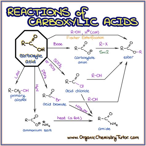 Organic Chemistry Tutor — Online Organic Chemistry Tutor Chemistry Book Pdf, Organic Chemistry Tutor, Organic Chemistry Reactions, Chemistry Class 12, Organic Chem, Organic Chemistry Study, Chemistry Study Guide, Chemistry Basics, Study Chemistry