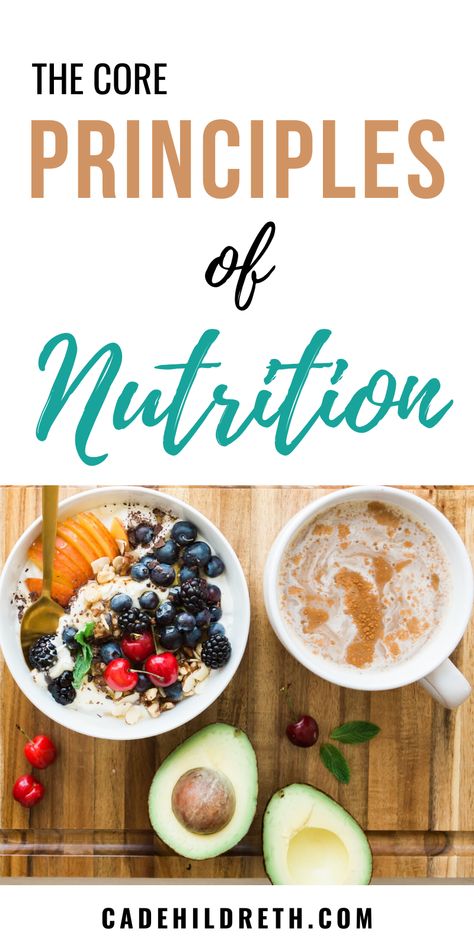 Nutrition is essential to all types of health and wellness, from physical to emotional. Unfortunately, you can’t out-train a bad diet, which is why it’s essential to learn the principles of nutrition.  While many people make nutrition out to be complicated, the core principles of nutrition are simple and learnable. Improve Nutrition, Bad Diet, Best Fat Burning Foods, Nutrition Guide, Holistic Nutrition, A Balanced Diet, Proper Nutrition, Nutrition Plans, Healthy Eating Habits