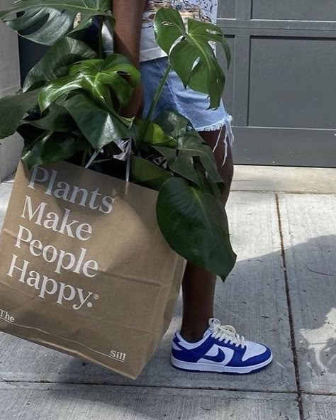 Anisa Dash, Dreamland Billionaires, Make People Happy, Lauren Asher, Moodboard Inspo, Inspirational Board, People Happy, Nyc Life, Plant Aesthetic