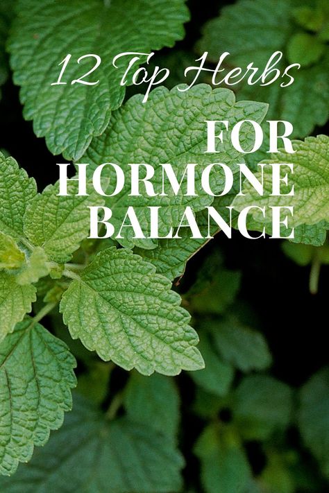 12 Top Herbs for Hormone Balance Herbs That Balance Hormones, Hormone Balance Herbs, Natural Remedies For Hormonal Imbalance, Balancing Androgen Hormones, Herbal Hormone Balance, Herbs For Mood Swings, Magnesium For Hormonal Balance, Herbs To Balance Female Hormones, Herbs For Hormones