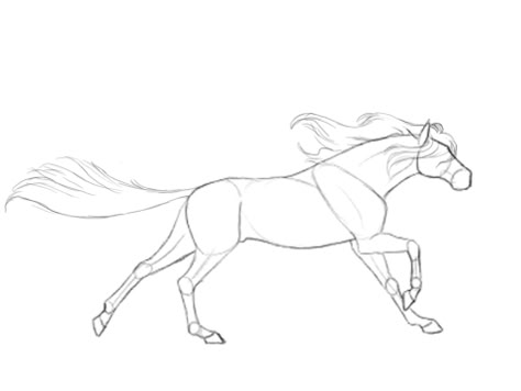 Horse Running Gif Horse Gif, Running Horse, Horse Drawings, Horse Drawing, Animation Reference, Drawing Stuff, Horse Art, A Drawing, Drawing Tips