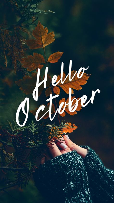 Hello October 2023, October Screensavers For Iphone, October Profile Picture, October Graphics, Hello October Wallpapers, Hello October Aesthetic, Hello October Month, Happy New Month October, New Month October