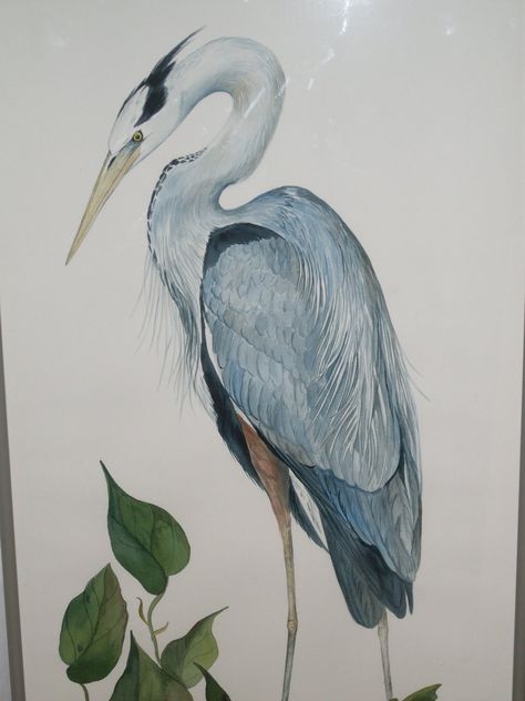 blue+and+white+bird+painting | Paintings by Egretta Wells Heron Tattoo, Heron Art, Shore Birds, Francisco Goya, Great Blue Heron, Birds Art, Wildlife Paintings, Herons, Blue Heron