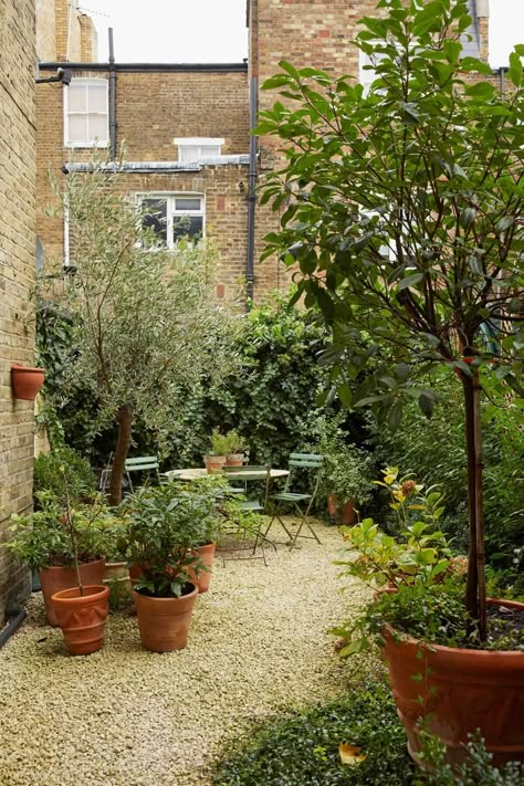 A Charming Antique Apartment in London with a Garden 19 City Courtyard Garden, Victorian Terrace Backyard, London Terrace Garden, Terraced House Back Garden, London Courtyard Garden, London Townhouse Garden, City Garden Ideas Small Spaces, Victorian Terrace Garden Back, Victorian House Garden