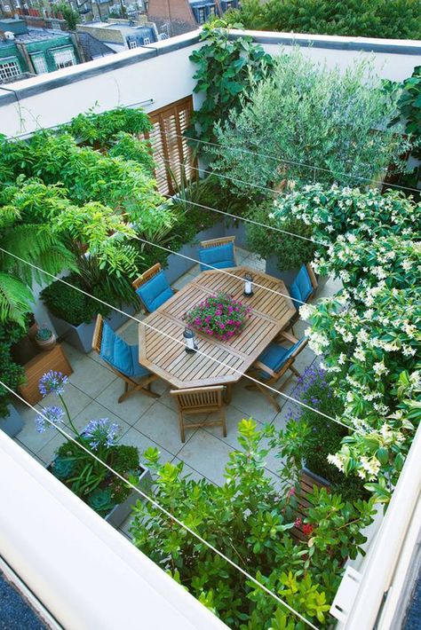 25 Modern Rooftop Design For Your Outdoor Sanctuary | Home Design And Interior Enclosed Rooftop Terrace, Enclosed Terrace Ideas, Plants On Roof Top, Terrace Flat Ideas, Roof Top Terrace Garden, Top Roof Garden Ideas, Plants For Terrace Garden, Roof Top Terrace Designs House, Terrace Plants Ideas