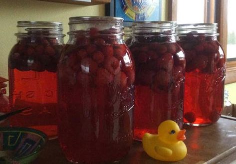 Cran-Raspberry Juice - The easy way! - SBCanning.com - homemade canning recipes Fresh Cranberry Juice Recipe, Canning Cranberry Juice, Canning Cranberry, Cranberry Grape Juice, Grape Juice Recipe, Raspberry Juice, Water Bath Canning Recipes, Canned Cranberries, Canning Kitchen