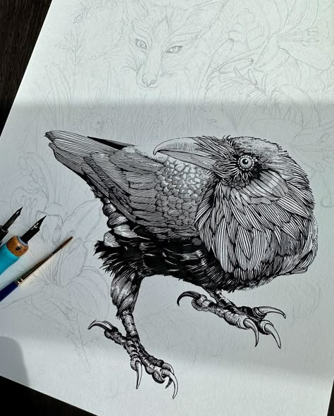 Bird Ink Illustration, Acrylic Ink Illustration, Ink Dip Pen Drawing, Dip Pen Illustration, Bird Ink Drawing, Animal Ink Drawing, Dip Pen Art, Dip Pen Drawing, Ink Art Ideas