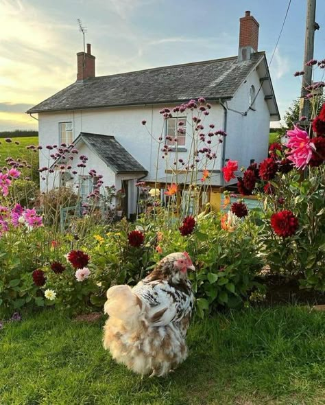 Charming Cottages and Gardens 🍃🌹 | Country Cottage ☘️🥀🐦🌿🐓 | Facebook Vintage Farmhouse Outside, Cottage With Horses, Country Farmhouse Outside, Farm Cottage Aesthetic, Country Living Aesthetic, Cottage Breakfast, Small Country Cottage, Cottage Core Farm, British Farm