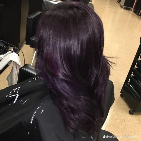 Violet Black Hair, Dark Violet Hair, Purple Hair Dye, Dark Purple Hair Color, Hair Color Plum, Dark Purple Hair, Dyed Hair Purple, Plum Hair, Violet Hair