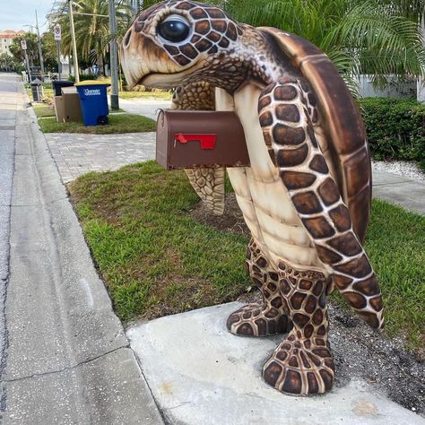 Coastal Mailbox, Beach Mailbox, Funny Mailboxes, Creative Mailbox, Cool Mailboxes, Mailbox Makeover, Unique Mailboxes, Diy Mailbox, Mailbox Ideas