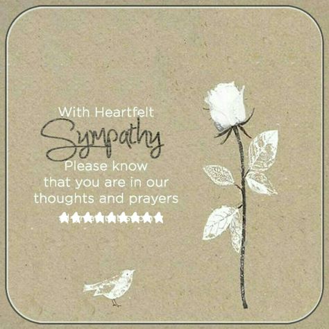 Messages Of Sympathy, Sympathy Sentiments, Condolences Messages, Sympathy Thoughts, Condolence Message, Words Of Condolence, Condolence Letter, Sympathy Condolences, Condolences Quotes