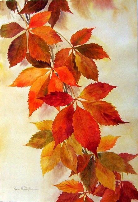 AUTUMN ART (Ann Fullerton WATERCOLOR): Autumn Leaves Art, Autumn Watercolor, Virginia Creeper, Fall Watercolor, 수채화 그림, Watercolor Trees, Autumn Painting, Painted Leaves, Watercolor Leaves