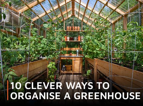 Make the most of every inch of space in your greenhouse - the more organised you are, the more productive you will be. Clever storage is vital. Here are 10 practical ideas to transform your garden greenhouse into a functional space in which it's a pleasure to spend time. Happy gardening! 1. Zoning Keep vegetables to on Greenhouse Vegetables, Garden Organization, Outdoor Greenhouse, Large Greenhouse, Polycarbonate Greenhouse, Home Greenhouse, Garden Storage Shed, House Shed, Wooden Greenhouses