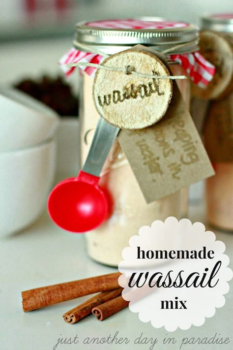 Wassail Recipe With Tang, Wassail Drink, Homemade Wrapping Paper, Wassail Recipe, Handmade Christmas Presents, Just Another Day In Paradise, Mix In A Jar, Homemade Dry Mixes, Christmas Food Gifts