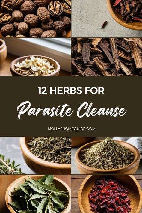 Explore the power of herbs for parasite cleanse with these natural remedies. Rid your body of unwanted parasites with an anti-parasite diet that includes herbs known to kill and eliminate parasites. Try a herbal parasite cleanse to detoxify your system and promote overall wellness. Discover the benefits of a natural parasite cleanse for humans and incorporate foods that can help you detox parasites effectively. Start your journey to kill parasites naturally with these herbs that are specifically Parasite Tea Cleanses, Herbs To Kill Parasites, Parasite Cleanse Home Remedy, Recipes For Parasite Cleanse, Juicing Recipes For Parasites, Herbs For Colon Cleanse, All Natural Parasite Cleanse, Foods To Get Rid Of Parasites, Wormwood For Parasites