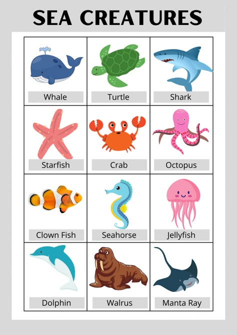 Sea animals, sea creatures, sea animals flash cards, water animals, water creatures, type of fishes, sea animals for preschool, sea animals toddlers Land And Sea Animals Preschool, Ocean Animals Poster, Animals In The Water Preschool, Sea Animals For Preschoolers, Under Water Animals Ocean Life, Animals That Live In Water, Sea Creatures For Preschoolers, Sea Animals Kindergarten, Water Animal Activities For Preschool