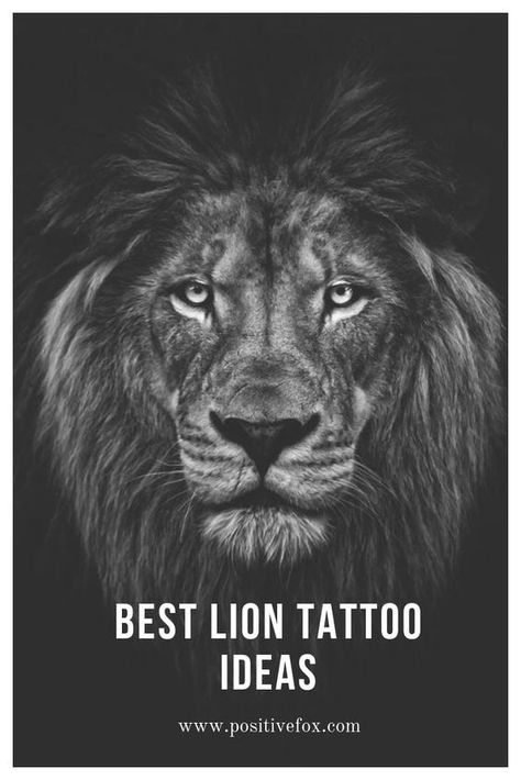 Lion Tattoo Ideas For Men, Lion Meaning, Lion Tattoo Meaning, Lion Tattoo Ideas, Small Lion Tattoo, Photos Tattoo, Globe Tattoos, Vogel Tattoo, Tattoo Lion