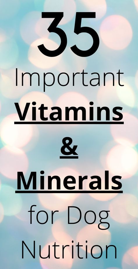 Dog Nutrition, vitamins and minerals Dog Nutrition Supplements, Dog Vitamins Best, Homemade Dog Vitamins, Dog Nutrition Guide, Recipes For Sensitive Stomachs, Puppy Vitamins, Vitamins For Dogs, Diet For Dogs, Dog Food Homemade