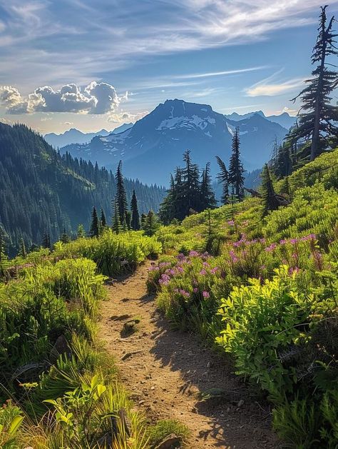 Pacific Crest Trail, Watercolor Mountains, Oregon Usa, Mother Earth, Cali, Oregon, Bucket List, Travel