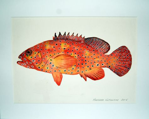 Coral trout in watercolour. Coral Trout, Watercolor Coral Reef, Coral Watercolor, Fish Print, Bone Carving, Tropical Fish, Watercolor Artwork, Leg Tattoos, Beautiful Artwork