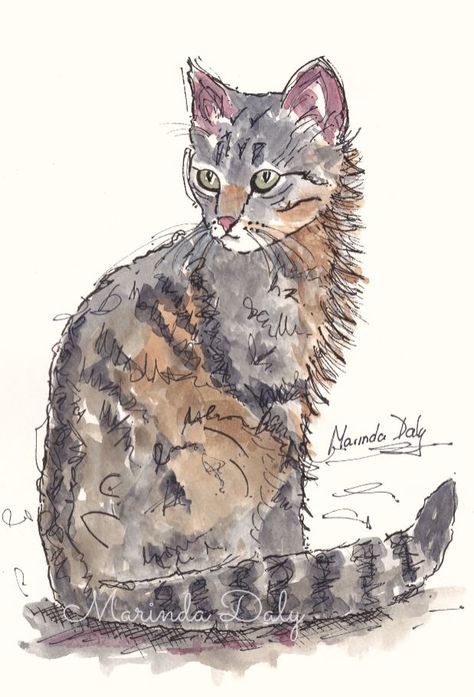 Feline Attitude. Line and wash sketch of a cat, by Marinda Daly. Sketched with black waterproof pen, and colored with Daler Rowney Artists' Water Color paints. Cat Sketch Watercolor, Pen Drawing With Watercolor, Watercolour And Pen Art Animals, Watercolour Painting With Pen, Simple Line And Wash Watercolor Sketches, Cat Watercolour Painting, Watercolor And Pen Art Animals, Watercolor Art With Black Pen, Watercolour Line And Wash