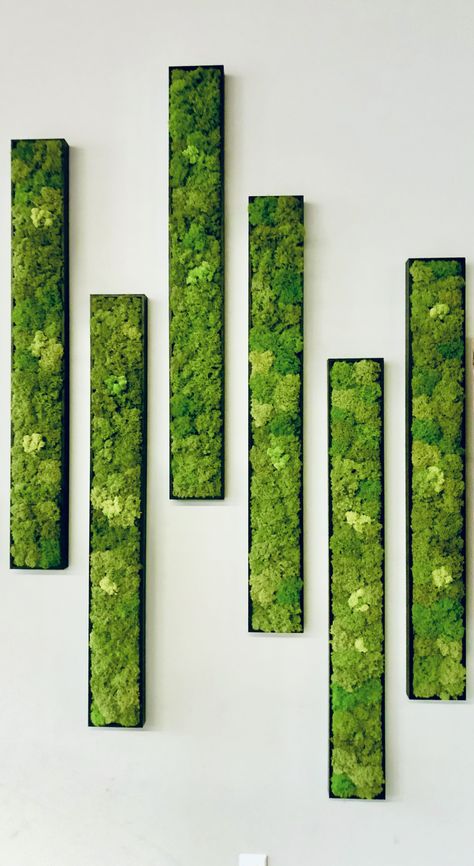 Fabulous Garden inspiration ideas - Small garden ideas Mos Wand, Green Wall Design, Moss Decor, Moss Wall Art, Moss Art, Moss Wall, House Plants Decor, Deco Floral, Living Wall