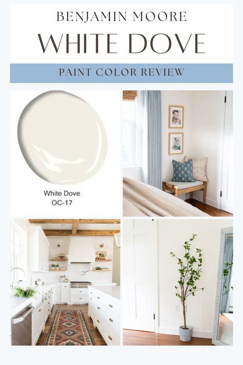 Looking for the perfect white paint for your walls or kitchen cabinets? Benjamin Moore White Dove is a classic, timeless choice! This creamy yet neutral white paint color is incredibly versatile, making it a popular pick for everything from home exteriors to cabinets, walls, and trim. Discover why White Dove is beloved for its ability to complement various styles and spaces, adding warmth and elegance wherever it’s used. White Dove Exterior Paint Benjamin Moore, Wall Color With White Dove Cabinets, Cabinet Color With White Dove Walls, Trim Color For White Dove Walls, Bm White Dove Coordinating Colors, White Dove Benjamin Moore Bedroom, White Dove Kitchen Walls, White Dove Walls And Trim, Benjamin Moore White Dove Walls