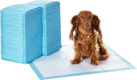 Amazon.com : Amazon Basics Dog and Puppy Pee Pads with 5-Layer Leak-Proof Design and Quick-Dry Surface for Potty Training, Heavy Duty Absorbency, Regular, 24 x 23 Inch, Regular (80 Count), Blue & White : Pet Supplies Puppy Essentials, Pet Training Pads, Puppy Pads Training, Dog Pee Pads, Potty Pads, Pet Essentials, Potty Training Puppy, Dog And Puppy, Puppy Pads