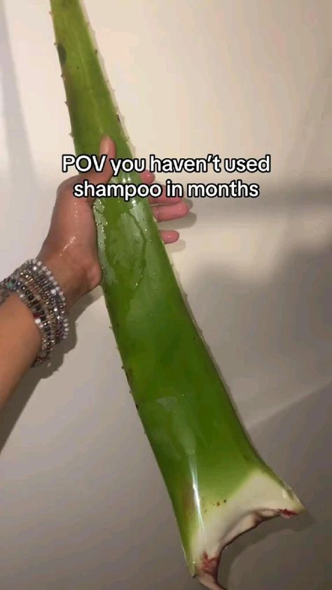 Homemade Hair Shampoo, Natural Shampoo Diy, Homemade Natural Shampoo, Hair Growth Methods, Curly Shampoo, Aloe Vera Shampoo, Curly Hair Beauty, Natural Hair Shampoo, Natural Hair Growth Tips