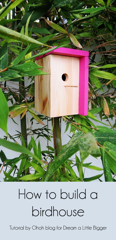 How to build a modern DIY birdhouse Build A Birdhouse, Modern Birdhouses, Bird House Plans, Bird House Kits, Exhaust Vent, Big Building, Bird Aviary, Modern Birds, Bird Houses Diy