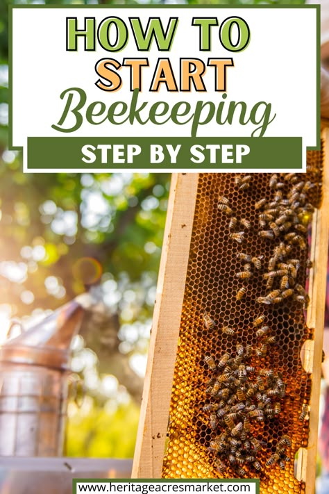 How To Start Raising Honey Bees, How To Raise Bees, Diy Bee Keeping, Starting Bee Keeping, How To Become A Bee Keeper, Bee Hives Diy How To Build, How To Start A Bee Farm, How To Start A Bee Hive Beekeeping For Beginners, How To Bee Keep